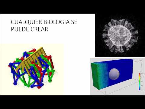 ¿ESTAS EN MATRIX?... TERMINOS Y PRINCIPIOS