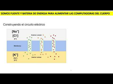 EL PLAN SE LES DESBARATA POR TODOS LADOS