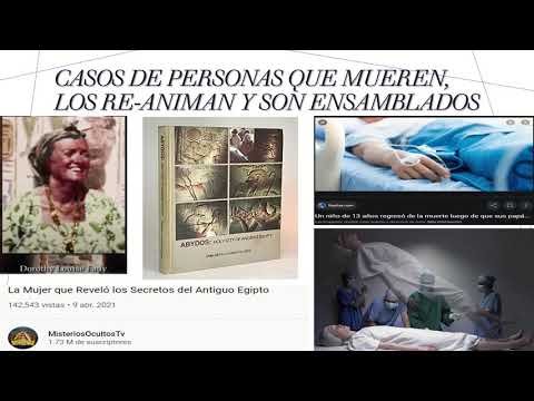 DEMONIOS, EMBRUJOS Y POSESIONES. LA HUMANIDAD COMO PORTALES ORGANICOS.